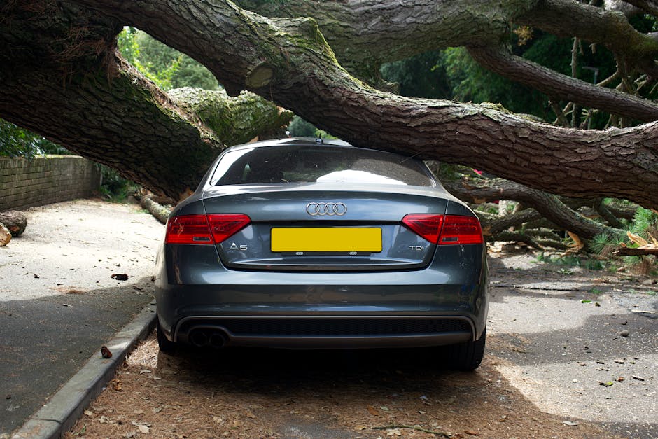 A grey Audi A5 TDI parked on an outdoor driveway, with a large fallen tree branch resting heavily across its roof and trunk. The tree branch appears to have broken and fallen during a storm, with rough bark and smaller twigs visible along its length. The driveway is partially covered with debris such as smaller twigs and leaves, indicating recent storm damage. Surrounding the scene are garden elements—including a low brick wall on the left side, patches of trimmed grass, and garden beds with some plants. The lighting is natural, suggesting a daytime setting, and the overall environment indicates ongoing garden maintenance or storm clearance work, which would typically be addressed by gardeners like those at Gardeners West Hampstead.