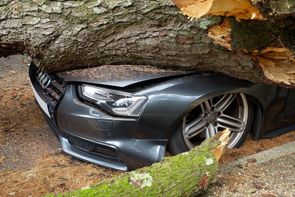 A grey Audi A5 TDI parked on an outdoor driveway, with a large fallen tree branch resting heavily across its roof and trunk. The tree branch appears to have broken and fallen during a storm, with rough bark and smaller twigs visible along its length. The driveway is partially covered with debris such as smaller twigs and leaves, indicating recent storm damage. Surrounding the scene are garden elements—including a low brick wall on the left side, patches of trimmed grass, and garden beds with some plants. The lighting is natural, suggesting a daytime setting, and the overall environment indicates ongoing garden maintenance or storm clearance work, which would typically be addressed by gardeners like those at Gardeners West Hampstead.