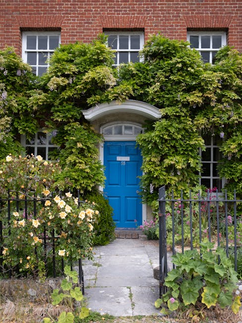 A charming red brick house with three evenly spaced sash windows on the upper floor, each with white frames. The house features a vibrant blue front door set within an arched white doorway, marked with the number 55. Surrounding the entrance is lush greenery, including dense, leafy climbing plants with small purple and white flowers growing over the brick facade and partially covering the windows. In front of the house, a narrow concrete pathway flanked by black metal railings leads to the door. On both sides of the path, there are well-maintained flower beds with blooming yellow, white, and pink flowers, as well as large green-leafed plants. The scene takes place in soft natural light, suggesting a mild, overcast day, and depicts a tidy, inviting garden space maintained by Gardeners West Hampstead, highlighting garden maintenance and landscaping work with a focus on outdoor care.