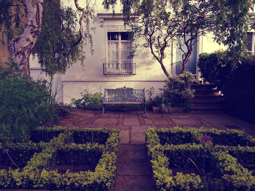 A small, well-maintained garden space featuring a paved patio with red bricks, bordered by neatly trimmed low box hedges arranged in geometric patterns. There is a decorative wrought iron bench positioned centrally against the white exterior wall of a house, which has a window with a small wrought iron balcony railing above it. To the right, a set of stone steps leads to a slightly elevated area with dense foliage, including a large tree with twisted branches on the right and various shrubs and flowering plants along the edges. The garden displays a mix of textures, with lush green leaves, dark soil, and the smooth surfaces of garden tools or ornaments, all illuminated by soft natural light. Gardeners West Hampstead could provide ongoing lawn care and hedge trimming for such a tidy space.